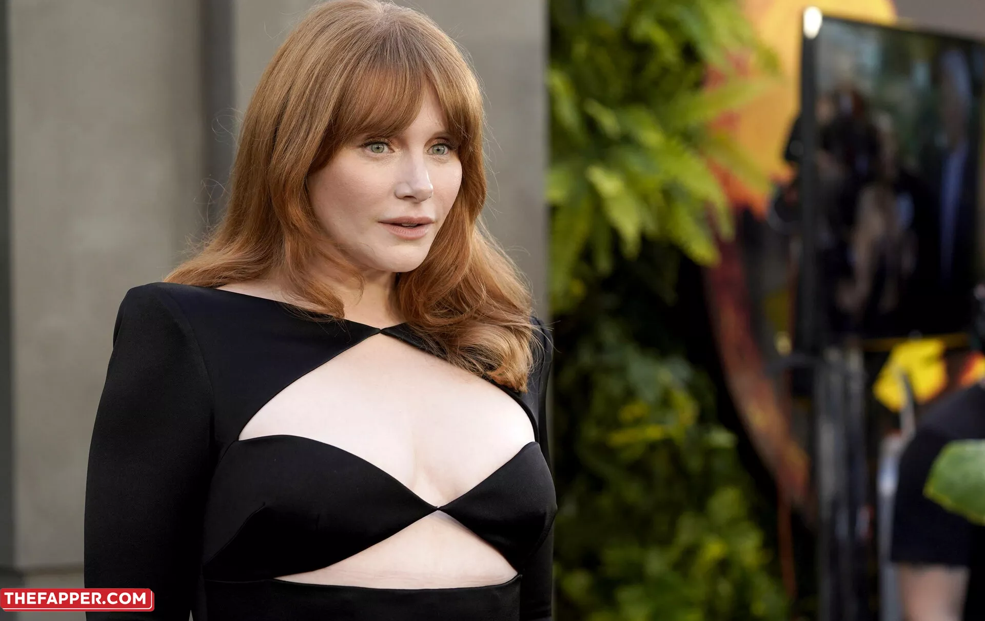 Bryce Dallas Howard  Onlyfans Leaked Nude Image #q7TnF5QwJK