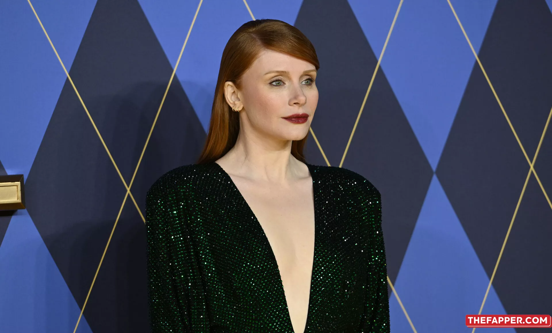 Bryce Dallas Howard  Onlyfans Leaked Nude Image #u2USv0RcLc