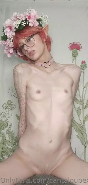Cantaloupexo Onlyfans Leaked Nude Image #FHuiVzukzf