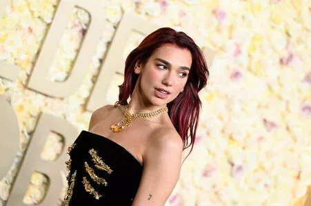 Dua Lipa Onlyfans Leaked Nude Image #Ozlvpck52T