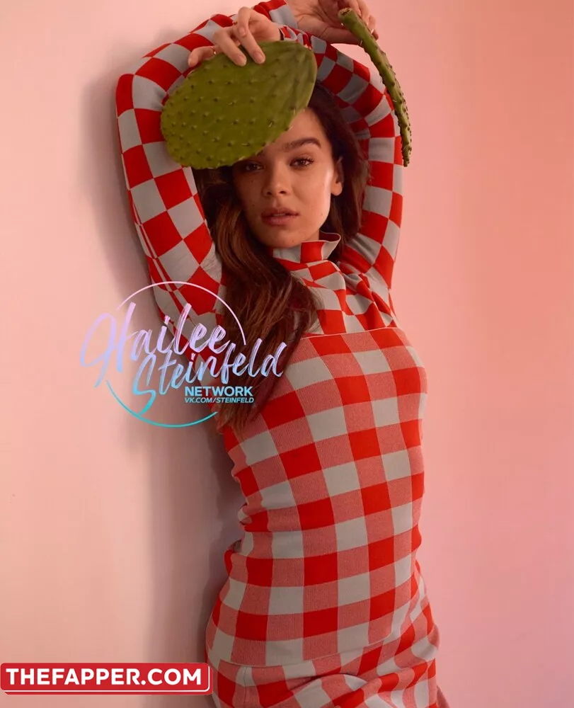 Hailee Steinfeld  Onlyfans Leaked Nude Image #2zY7SaY98z