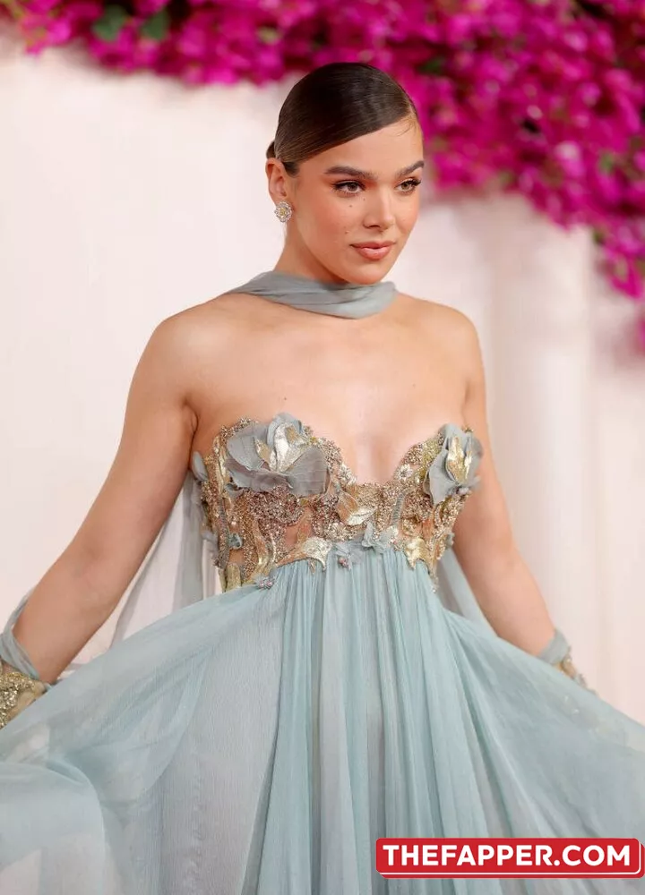 Hailee Steinfeld  Onlyfans Leaked Nude Image #NcYzMZ7dHp