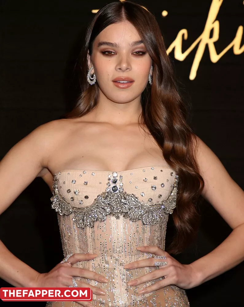 Hailee Steinfeld  Onlyfans Leaked Nude Image #QmweyOGhCi