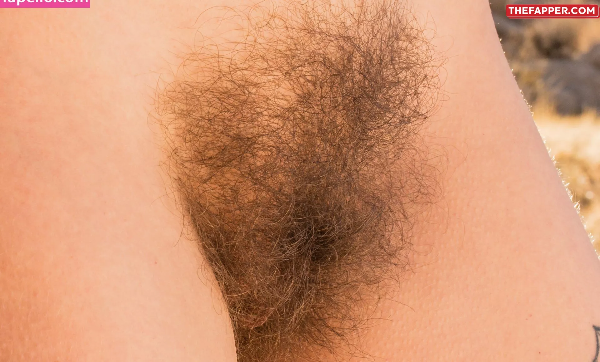 Hairy Women  Onlyfans Leaked Nude Image #pME1P57289