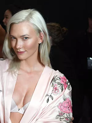 Karlie Kloss Onlyfans Leaked Nude Image #CMtb860r0i