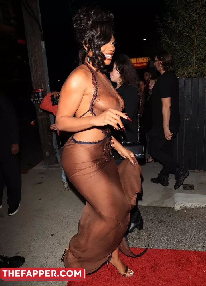 Megan Thee Stallion  Onlyfans Leaked Nude Image #1KMGB4csjN