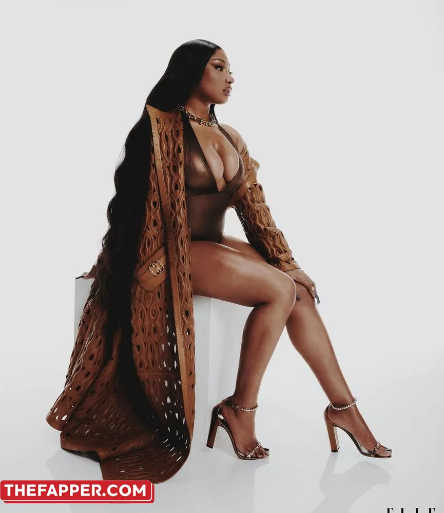 Megan Thee Stallion  Onlyfans Leaked Nude Image #7pZKA7GigK