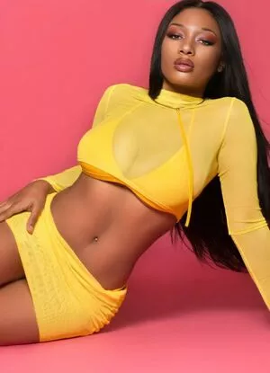 Megan Thee Stallion Onlyfans Leaked Nude Image #LVOoqFEVO9