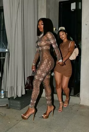 Megan Thee Stallion Onlyfans Leaked Nude Image #SJjAmzNq80