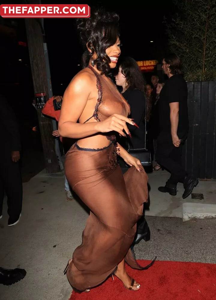 Megan Thee Stallion  Onlyfans Leaked Nude Image #ZbZArDDNe8