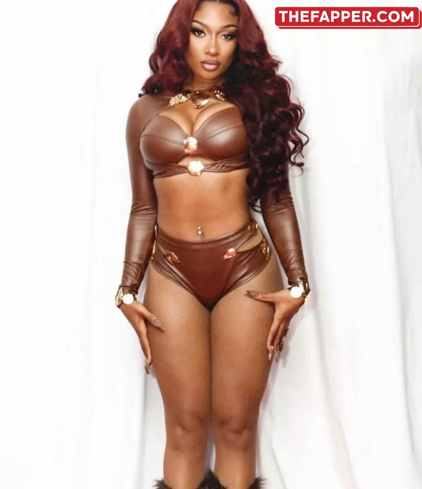 Megan Thee Stallion  Onlyfans Leaked Nude Image #iZcKFSpPKm