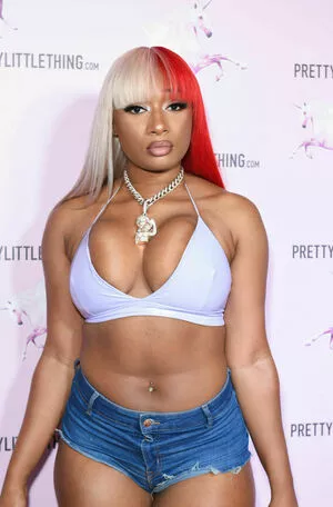 Megan Thee Stallion Onlyfans Leaked Nude Image #mzSXUwQBEE