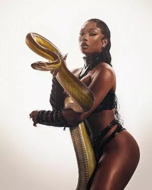 Megan Thee Stallion Onlyfans Leaked Nude Image #xFiyLCznyS