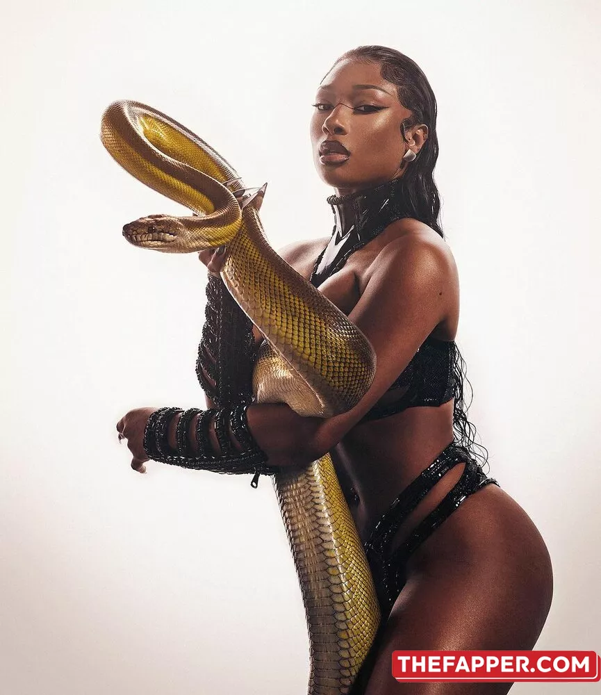 Megan Thee Stallion  Onlyfans Leaked Nude Image #xFiyLCznyS