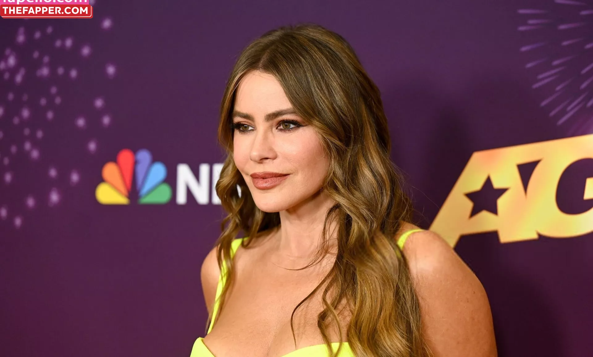 Sofia Vergara  Onlyfans Leaked Nude Image #8st3jHLHsI