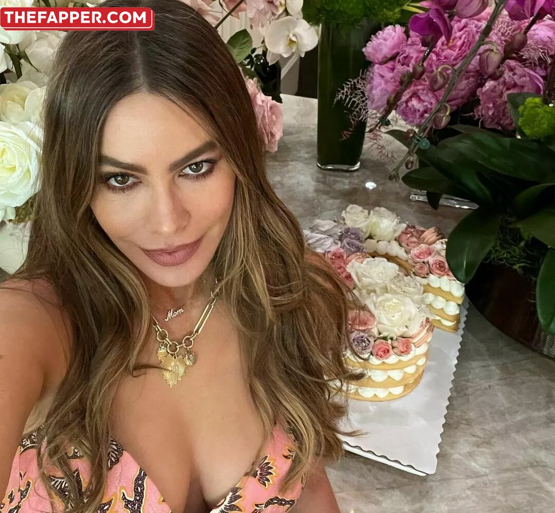 Sofia Vergara  Onlyfans Leaked Nude Image #Vd6wPInDsV