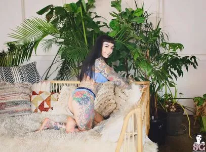 Tiger Lilly Suicide Onlyfans Leaked Nude Image #ydFxAUCupY